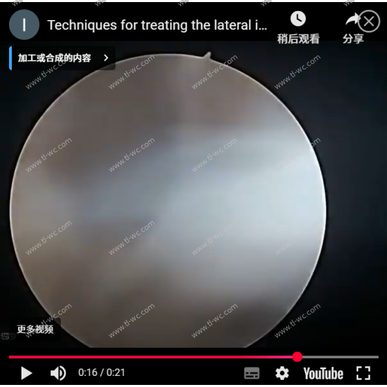 椎隙間の外側の部分を処理するテクニックです