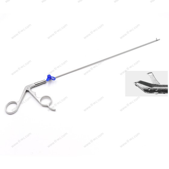 Rückgrat ein - huang bänder abbeißen den - Von mm x 260mm - 45 °